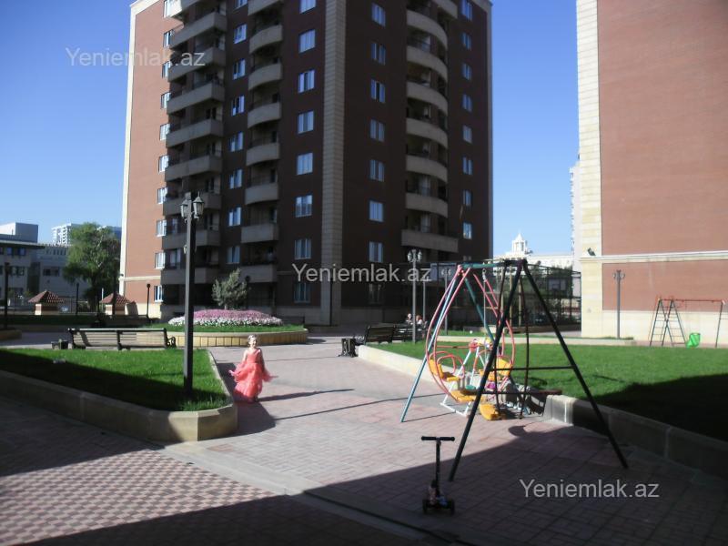 Image Description
