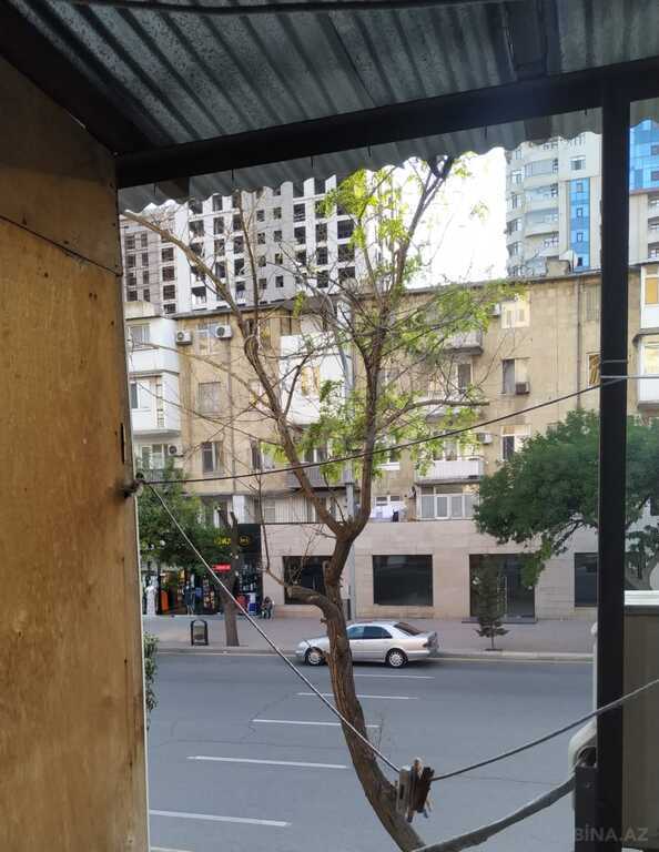 Image Description