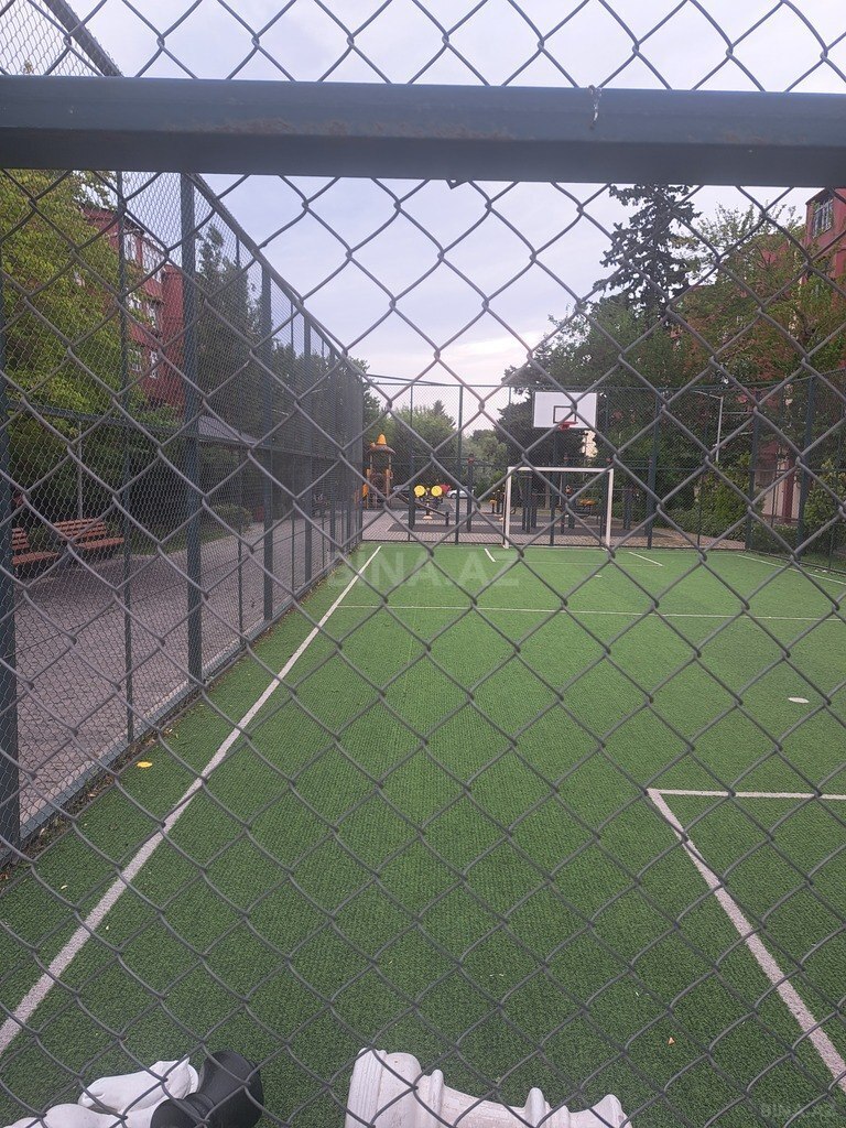 Image Description
