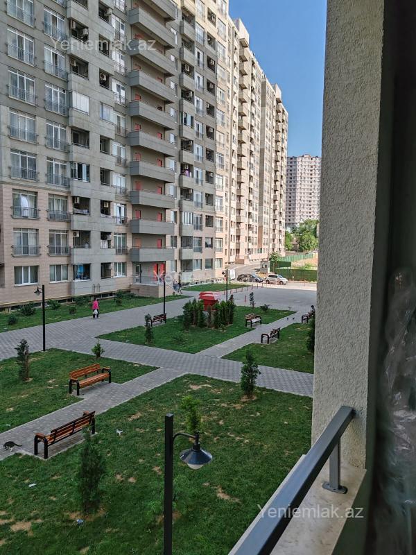 Image Description