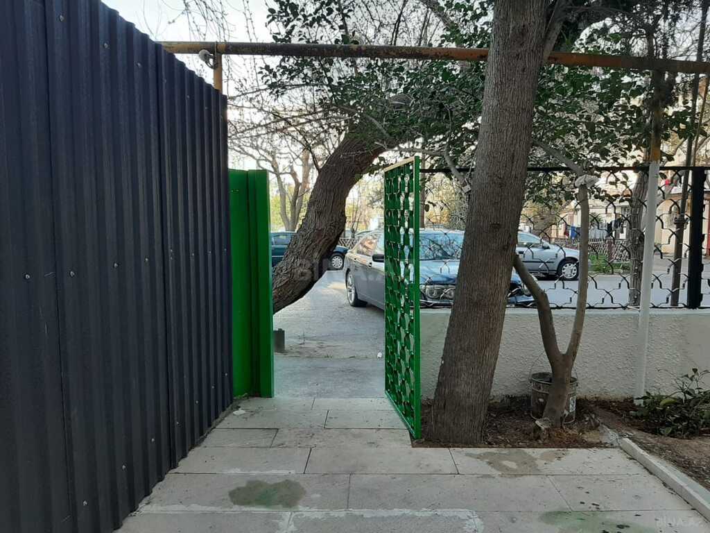 Image Description