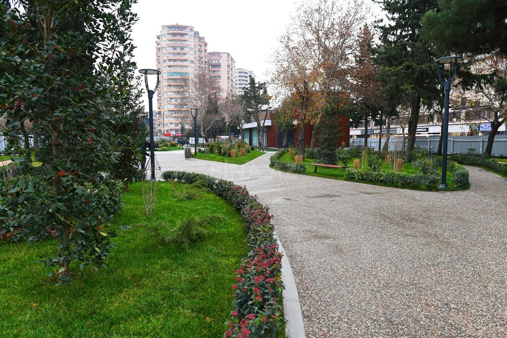 Image Description