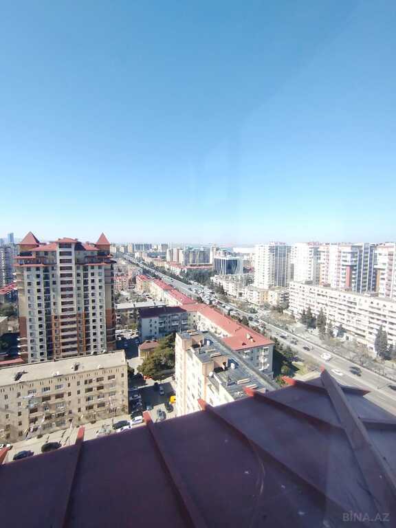 Image Description