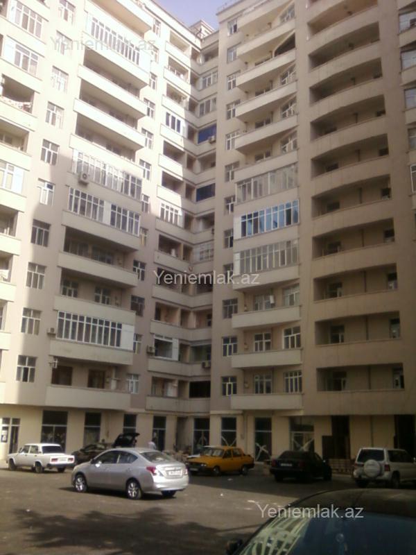 Image Description