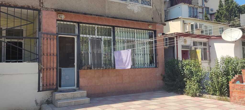 Image Description