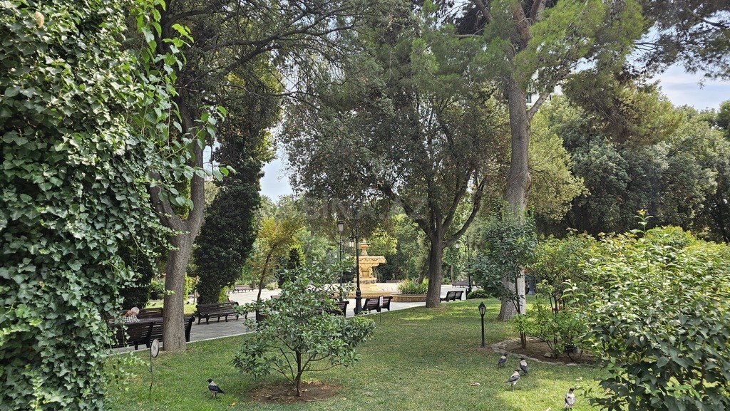 Image Description