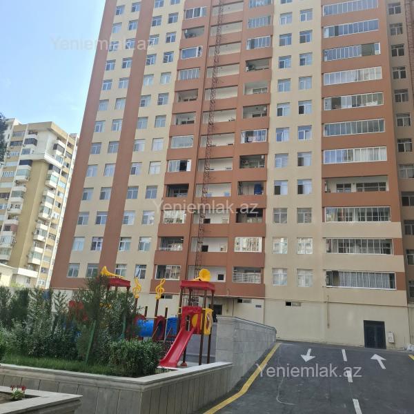 Image Description