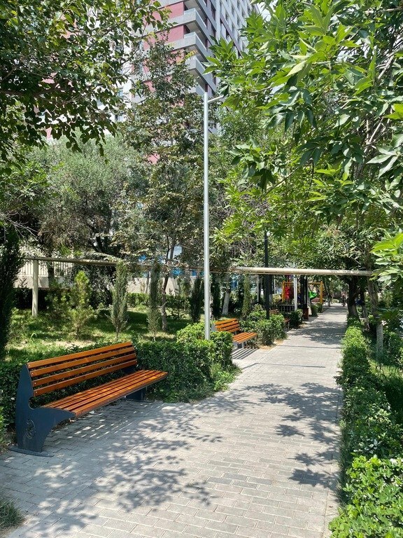 Image Description