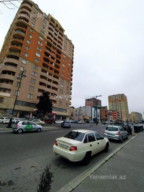 Image Description