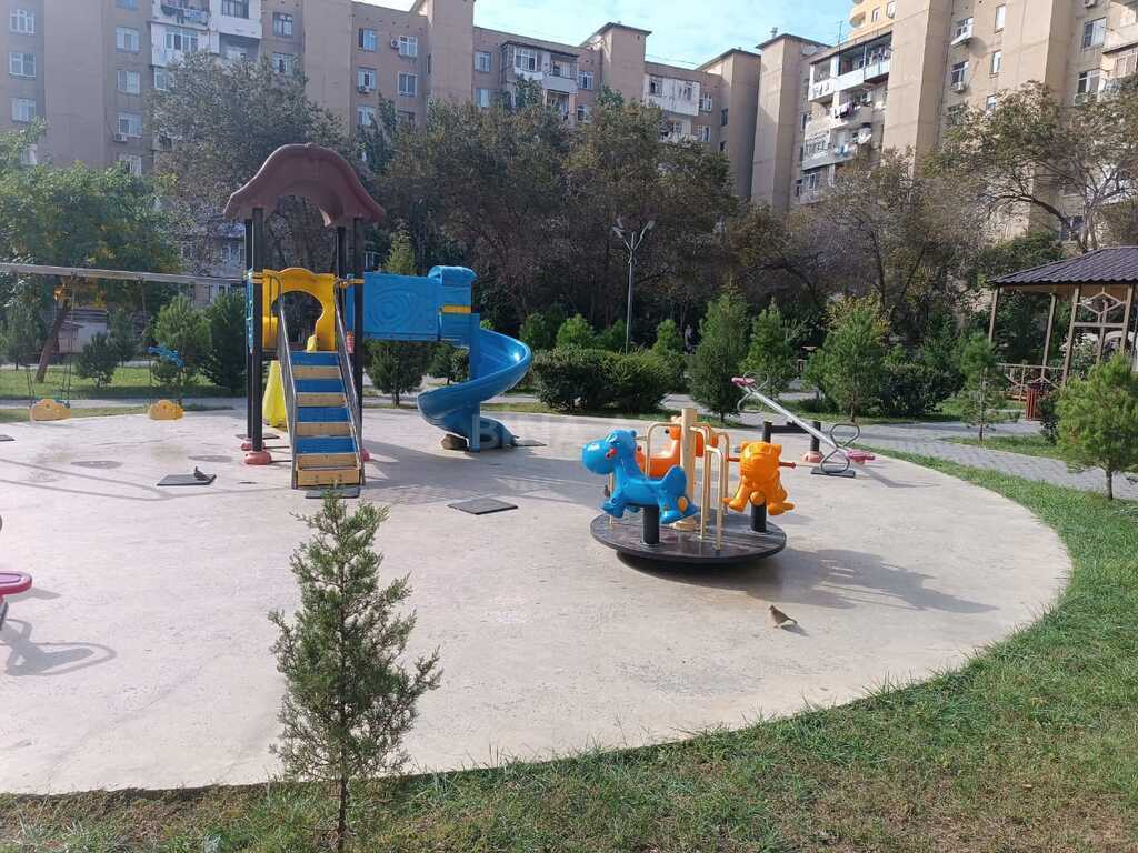 Image Description