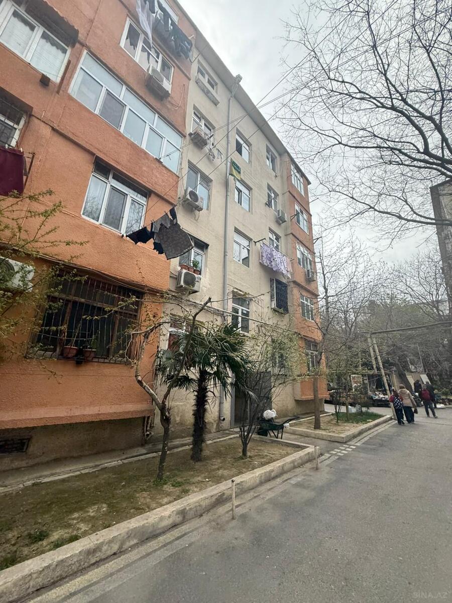 Image Description