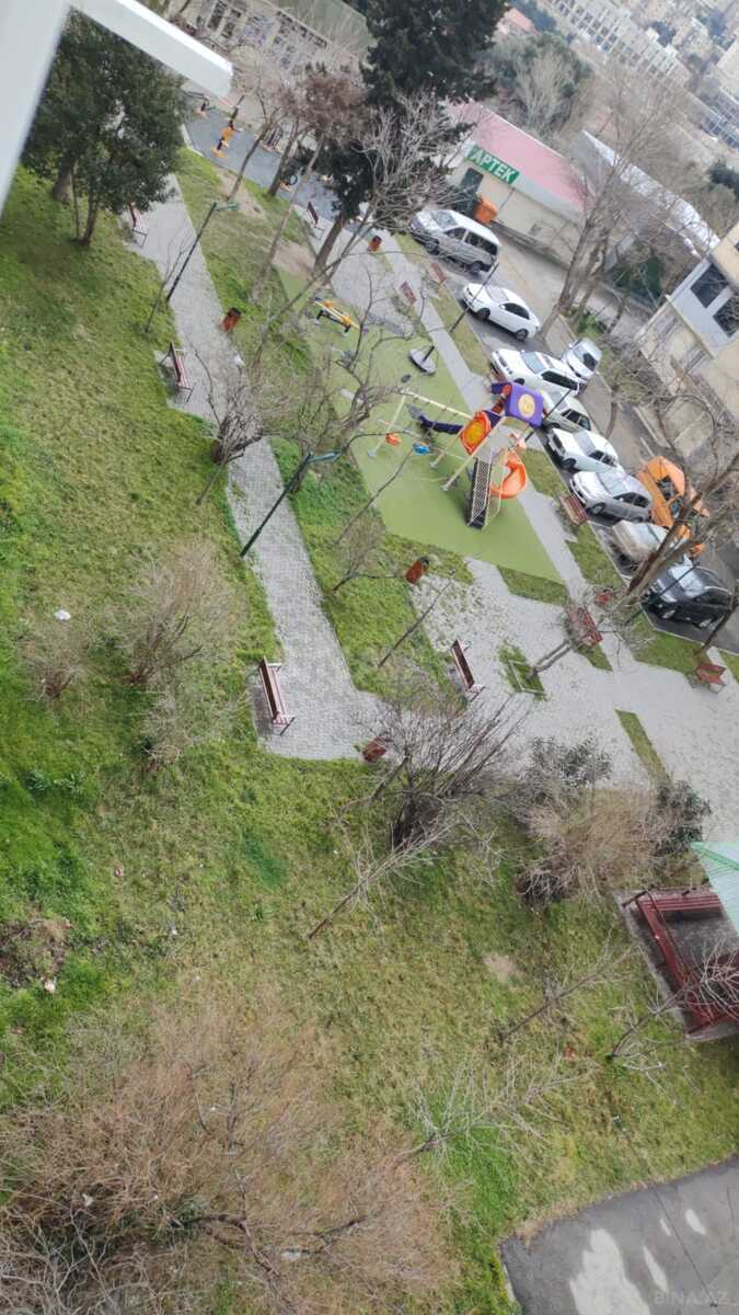 Image Description