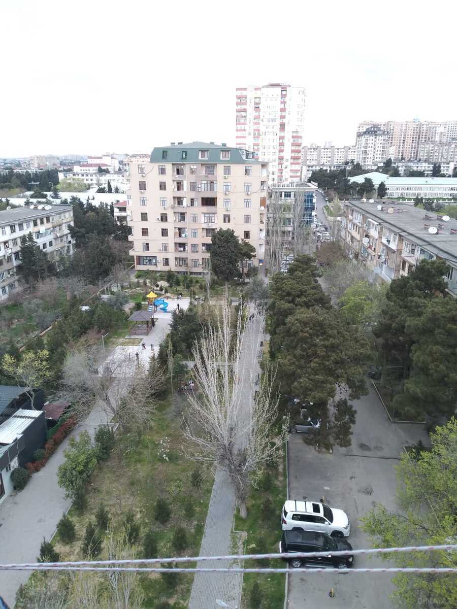 Image Description