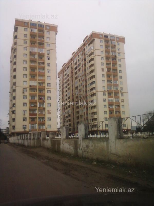 Image Description