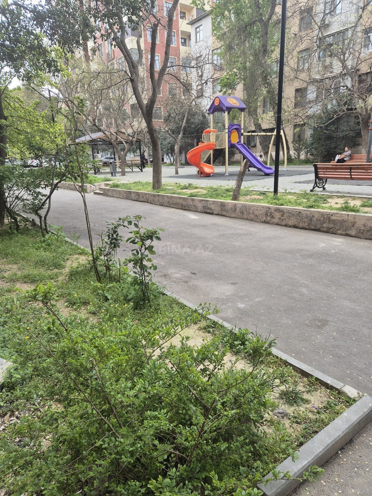 Image Description