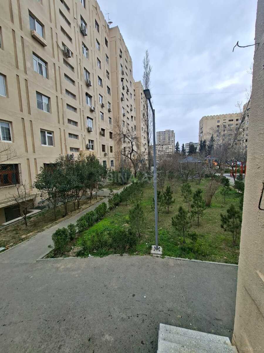 Image Description