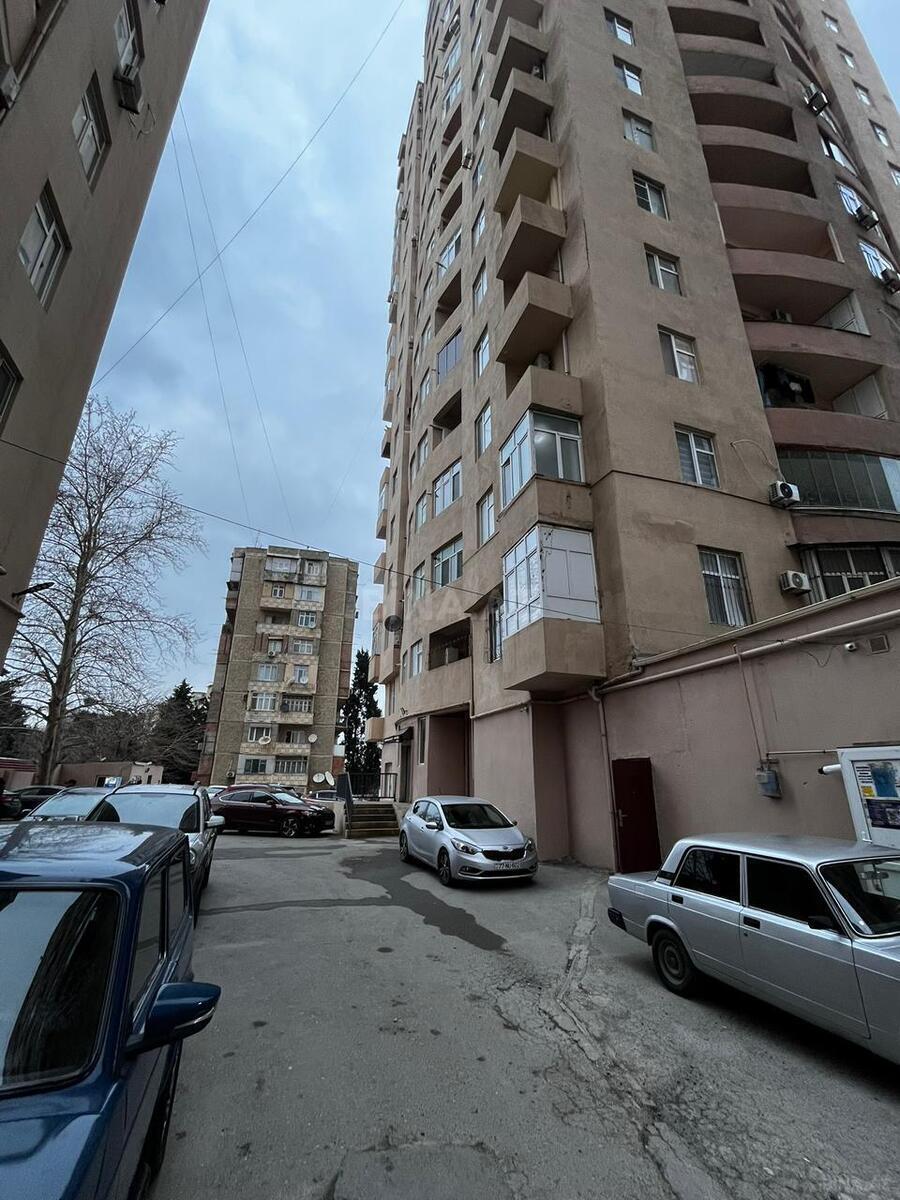 Image Description