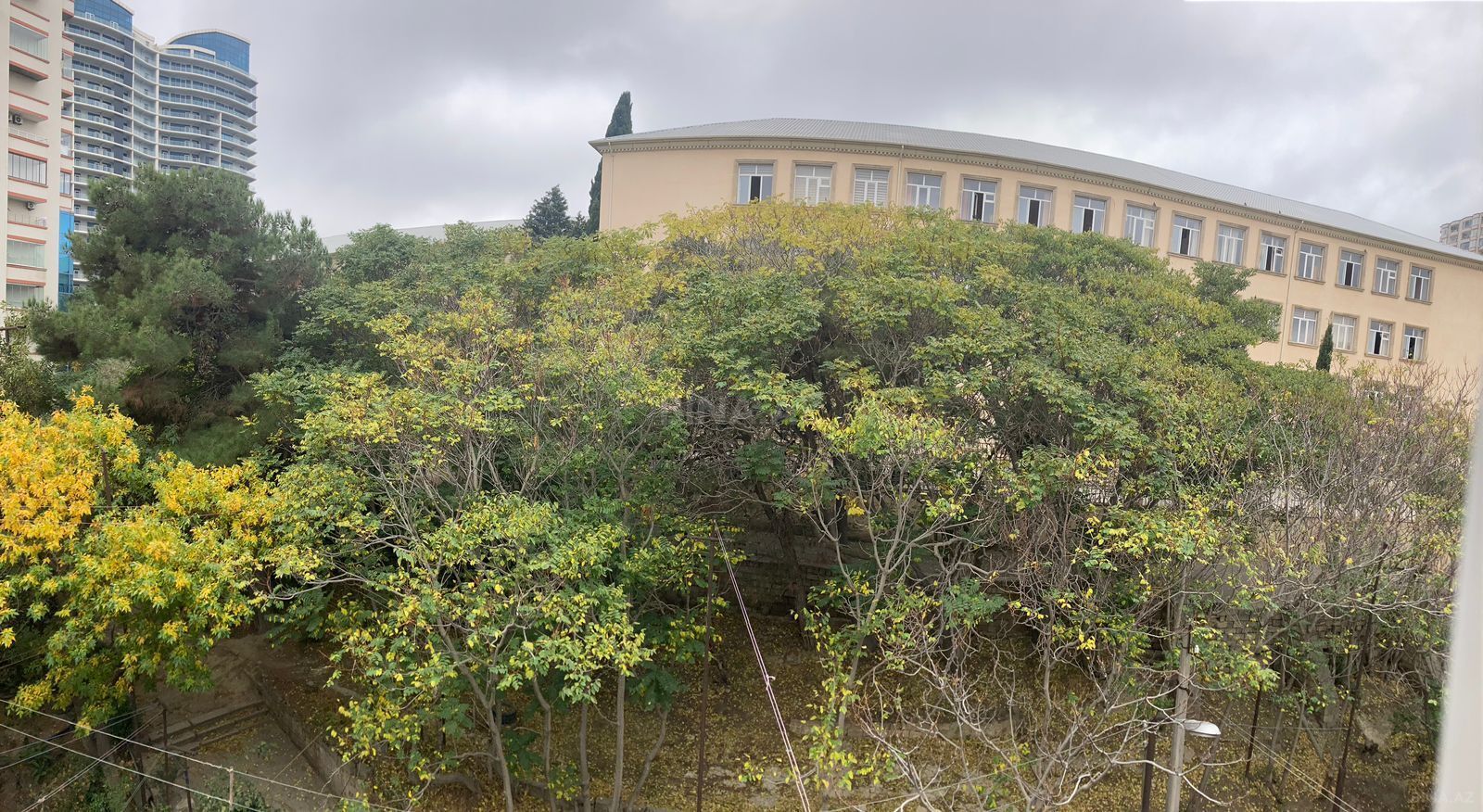 Image Description