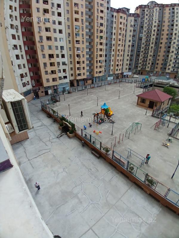 Image Description