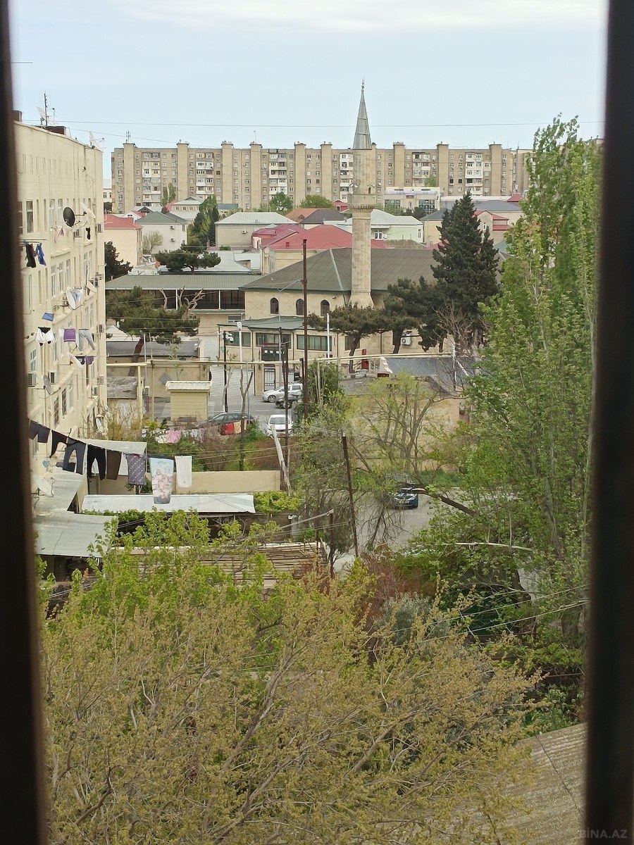 Image Description
