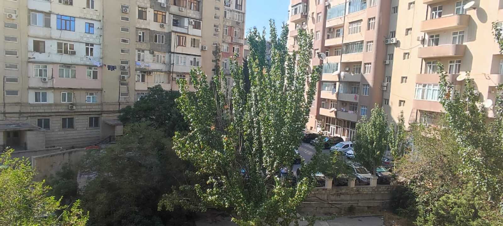 Image Description