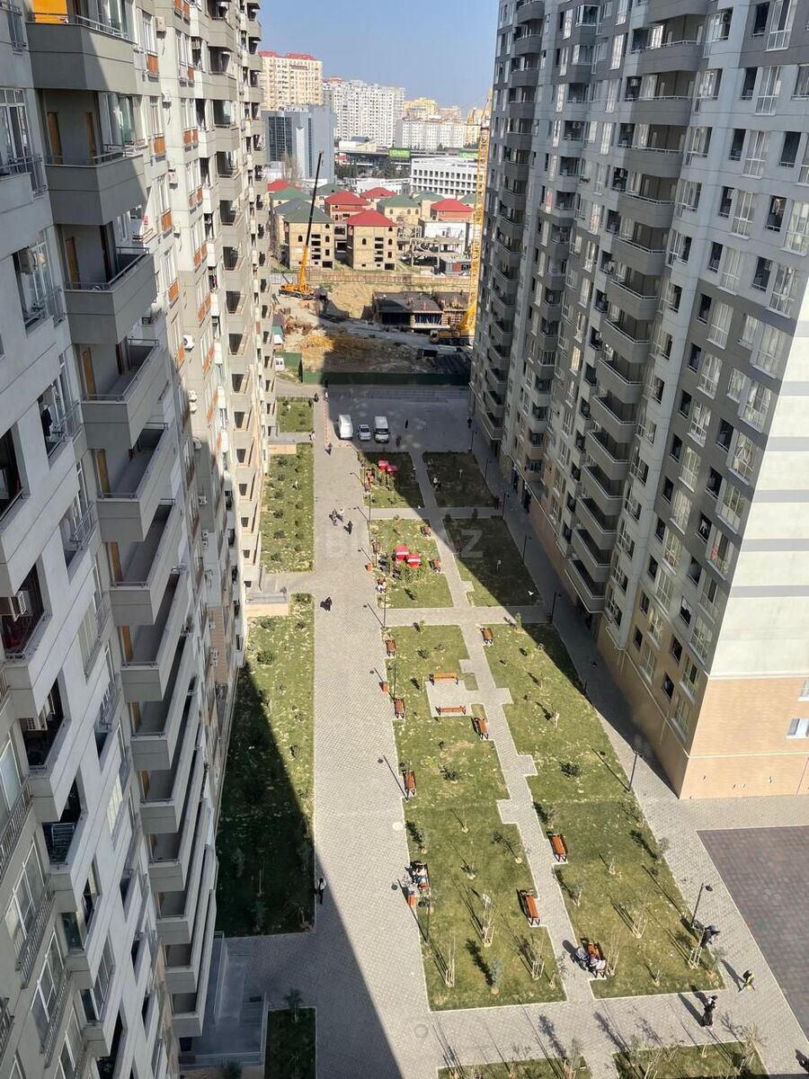Image Description