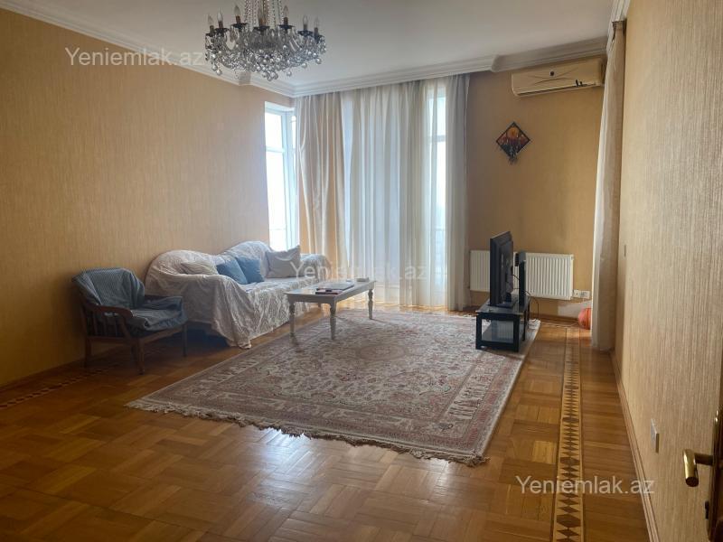 Image Description