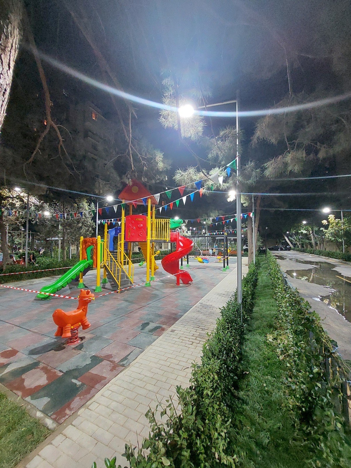 Image Description