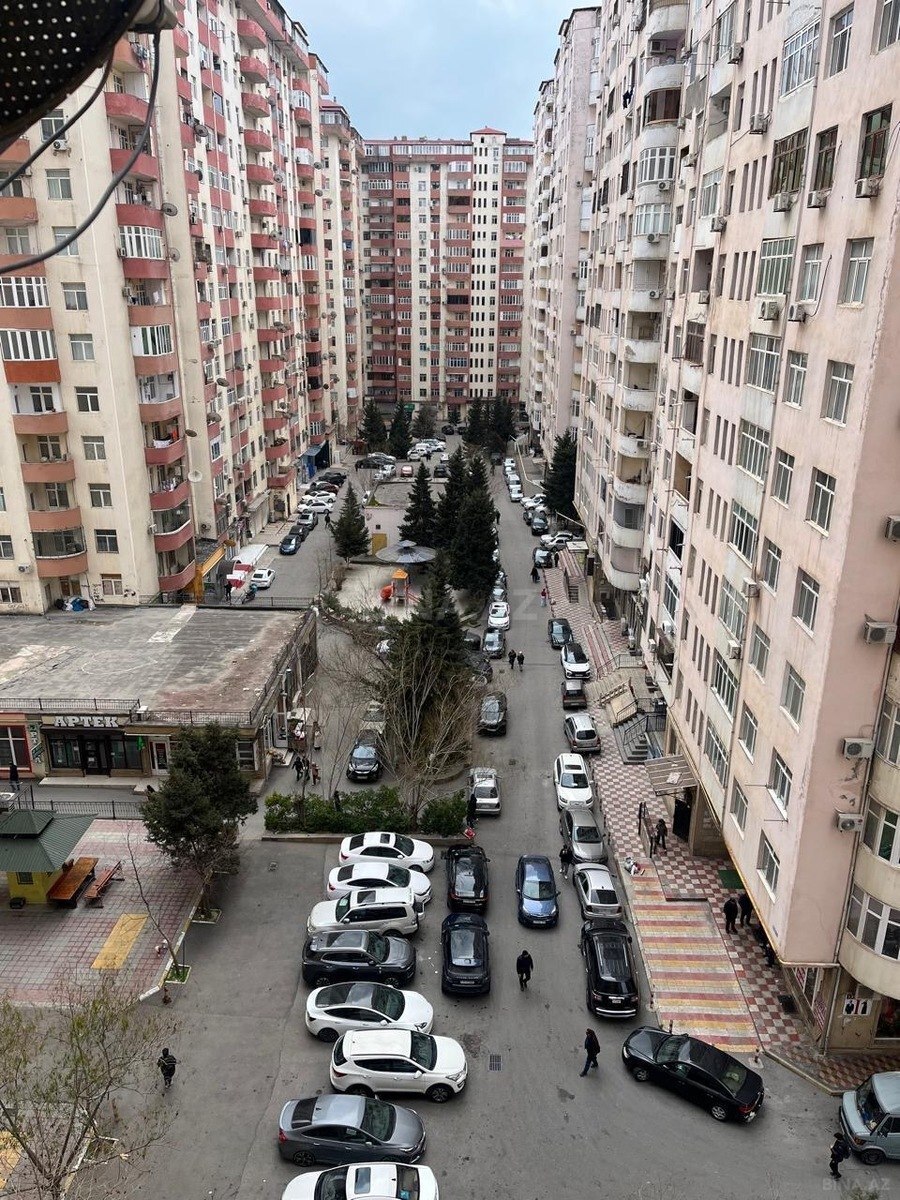 Image Description