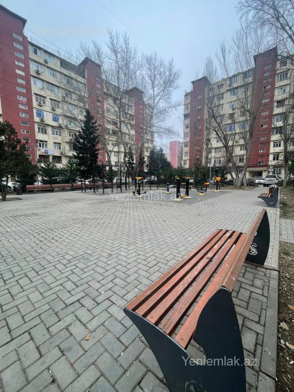 Image Description