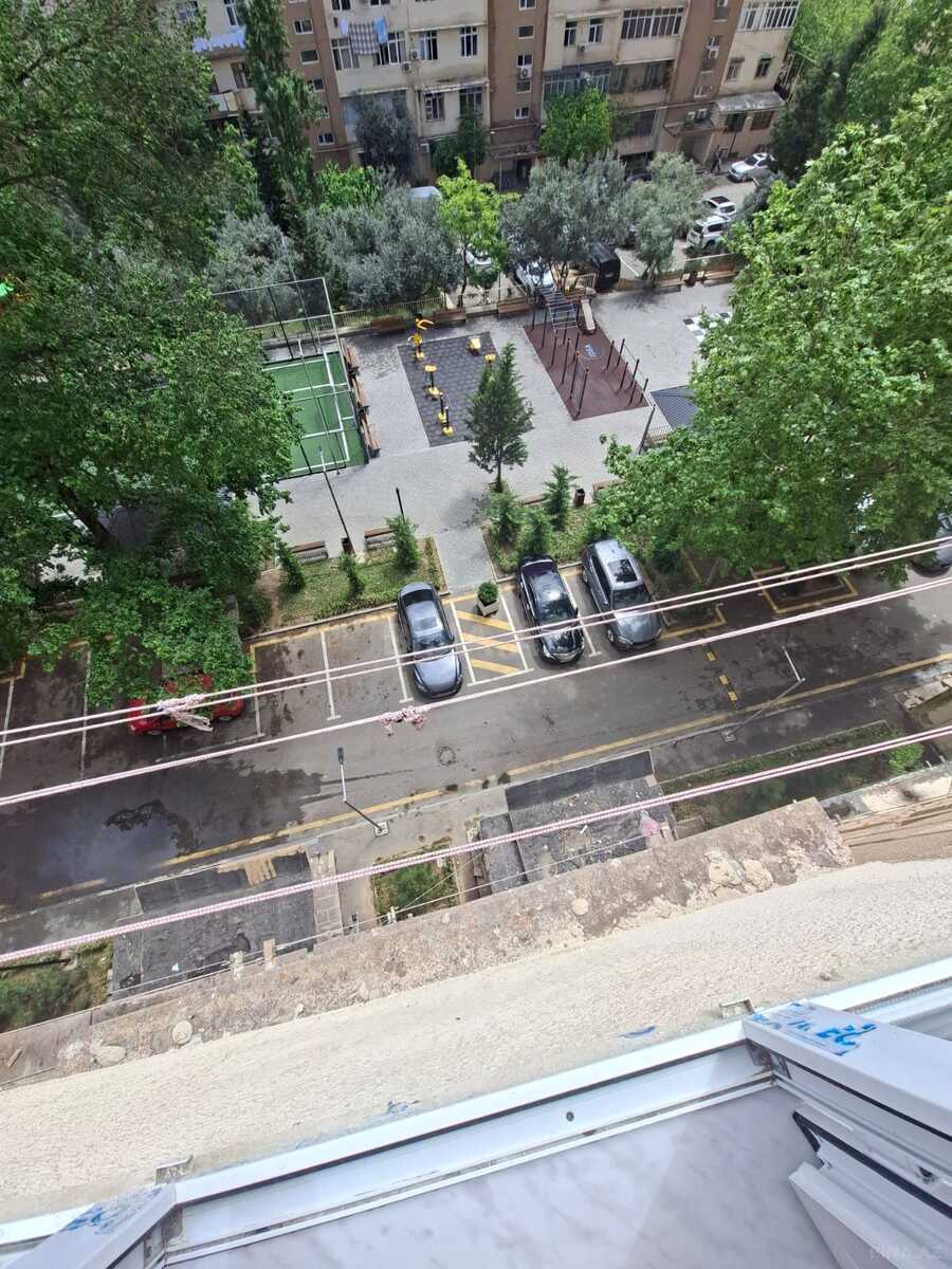 Image Description
